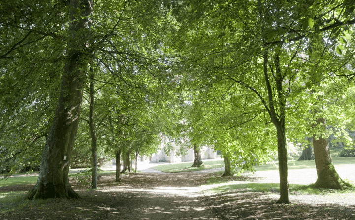 Driveway - Appuldurcombe Estate, Isle of Wight