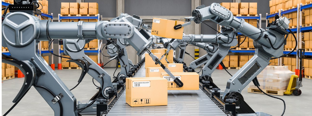 Automated warehouse with robotic arms