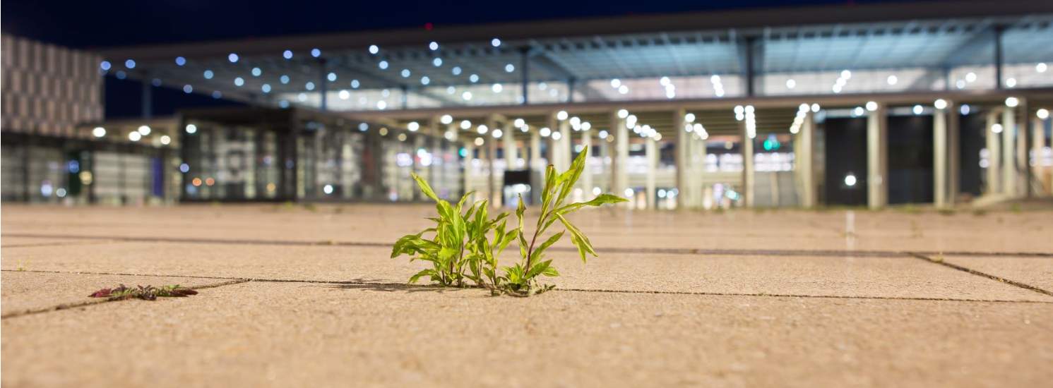 Berlin steht Kopf: Warum der BER Aufsehen erregen wird Berlin steht Kopf: Warum der BER Aufsehen erregen wird