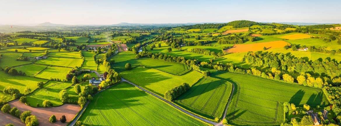 Aerial view of farmland