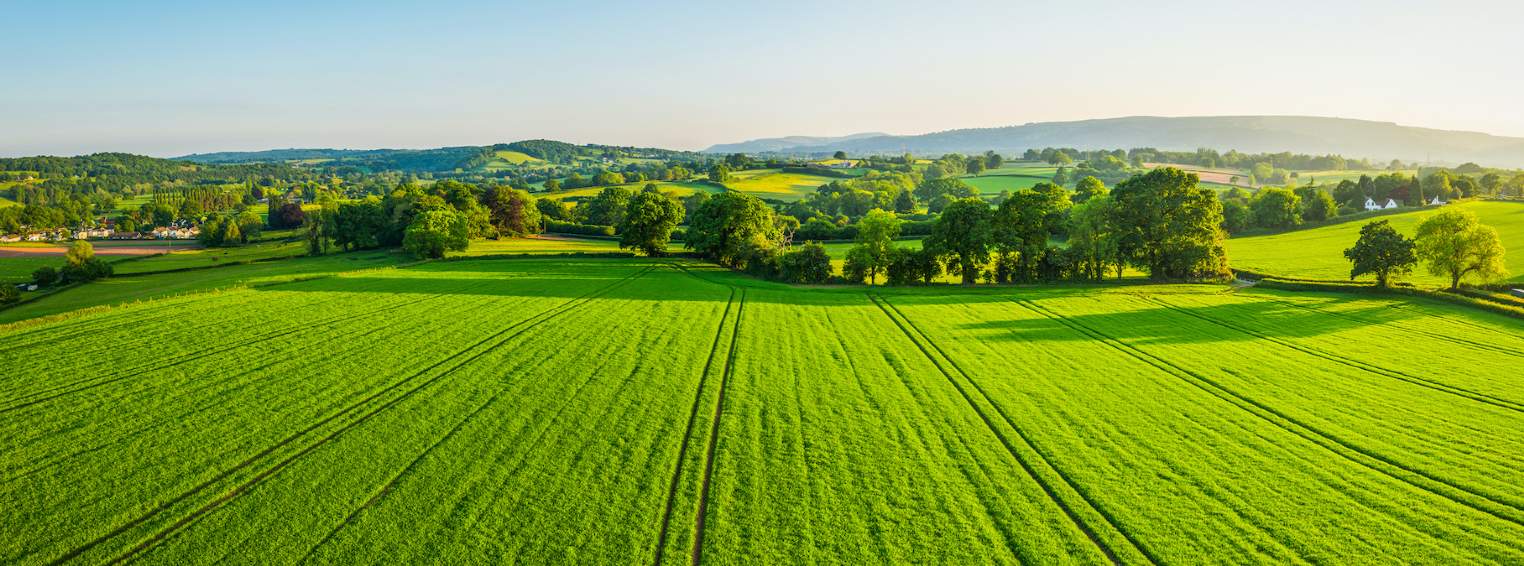 British farmland