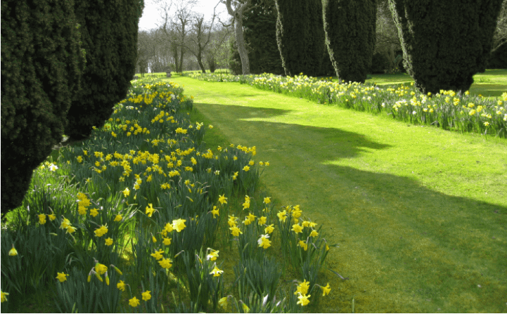 Garden walk, Bromley Hall, Standon, Ware