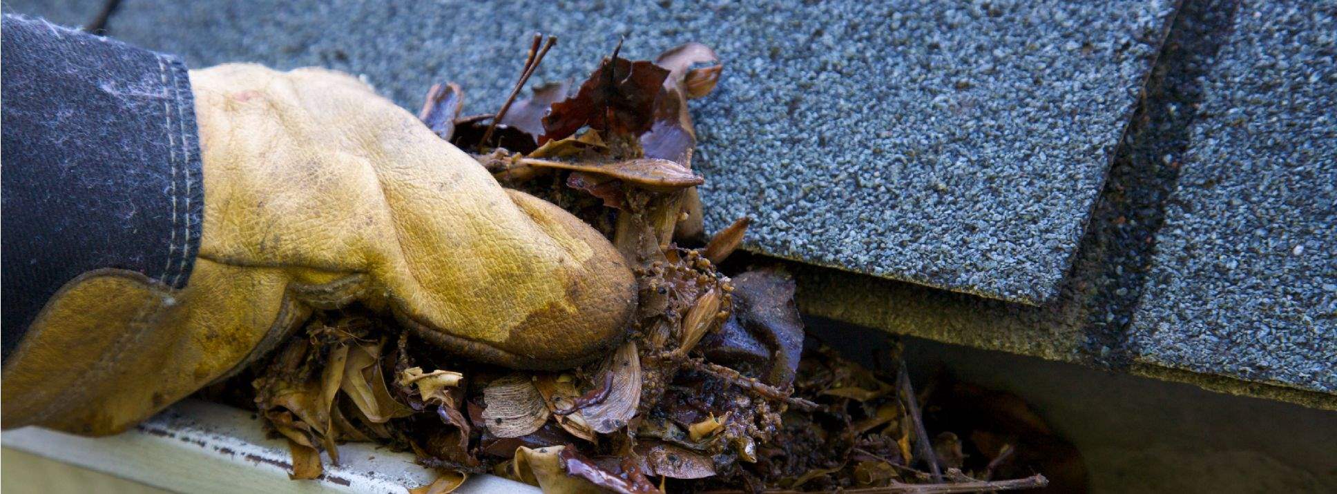 Clearing leaves out of a gutter