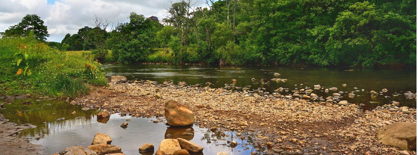 Countryside Stewardship scheme