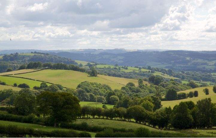 View from Cyfie Farm. Powys