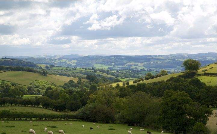 View from Cyfie Farm Powys