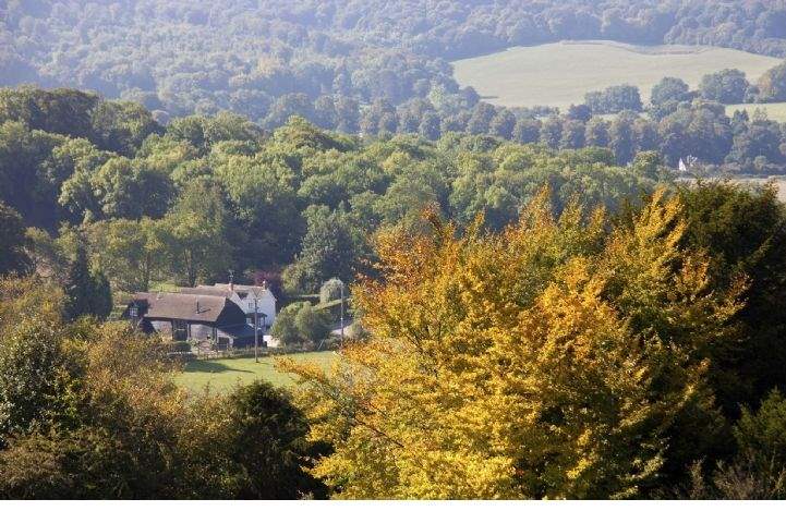 Farm viewing 