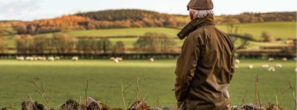 Farmer surveying land