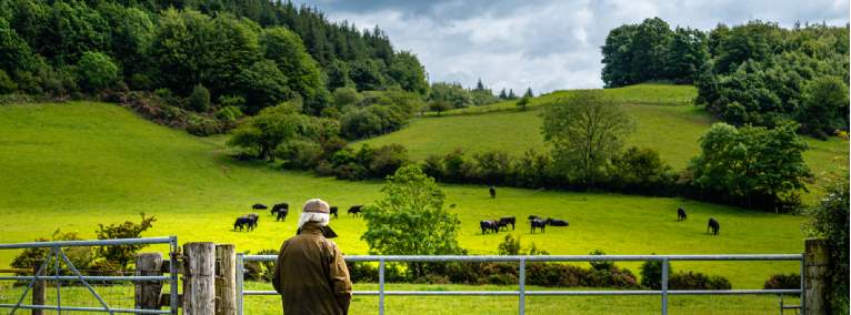 Savills Blog | Rural land and the climate crisis: the importance of ...