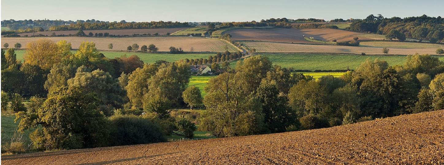 farmland investment