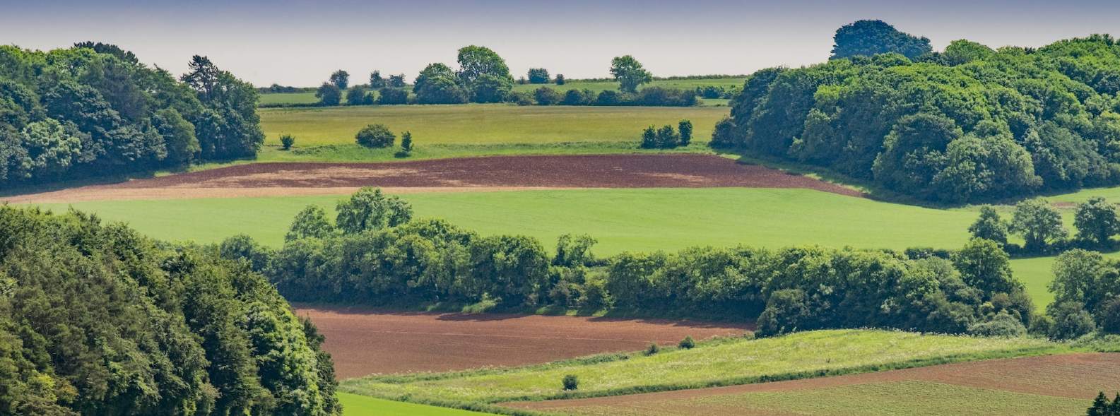 British farmland