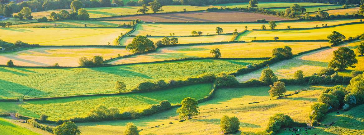 UK farmland