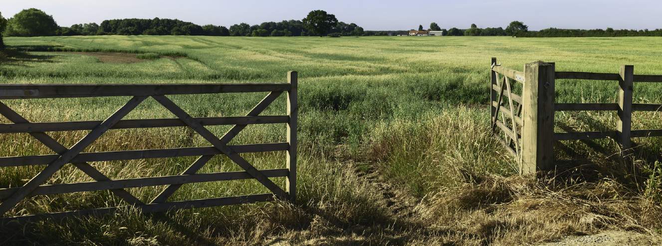 Farmland