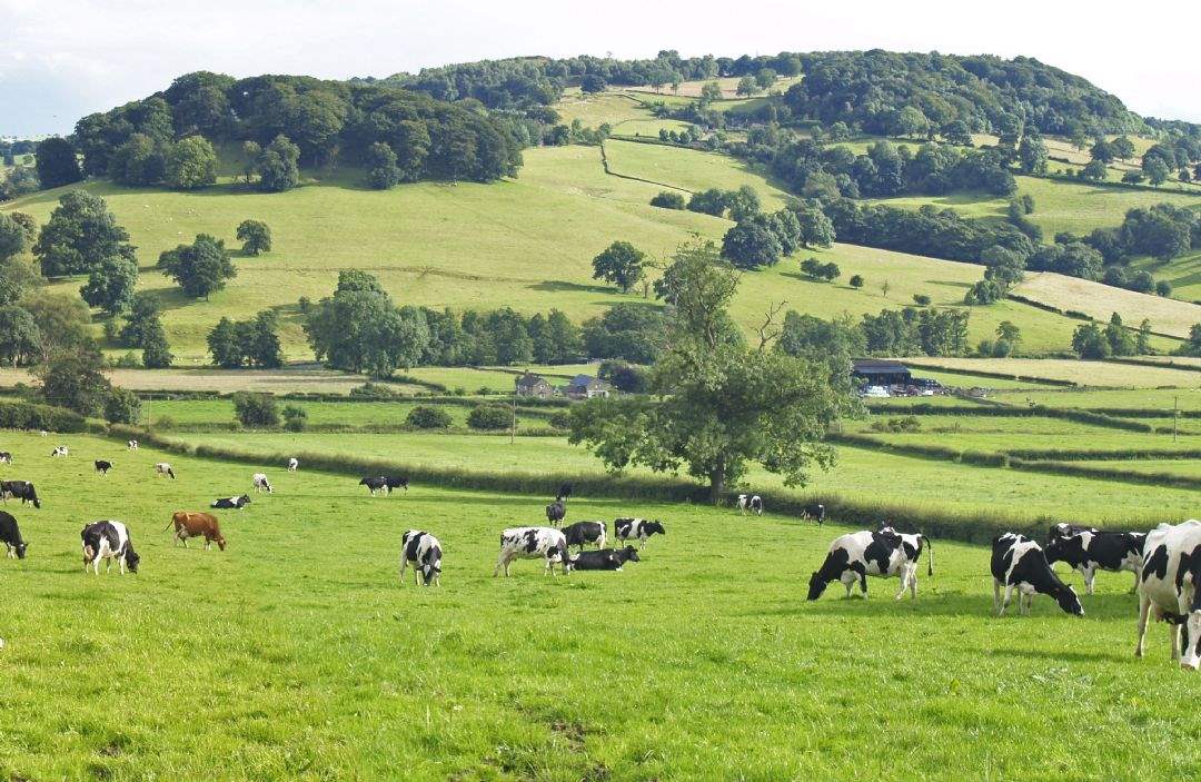 English farmland