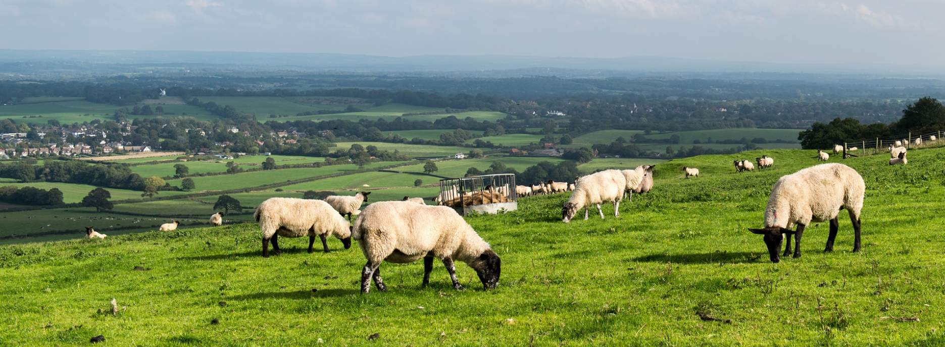 Four trends to watch in UK agriculture