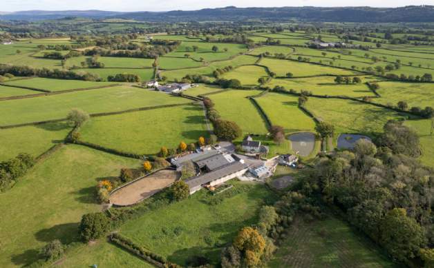 Savills UK  Buying an equestrian property - what you need to consider