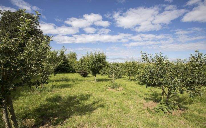 The Granary, Southam, Warwickshire - Orchard