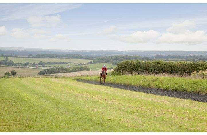 Whitcombe Racing Stables Stud, Dorset