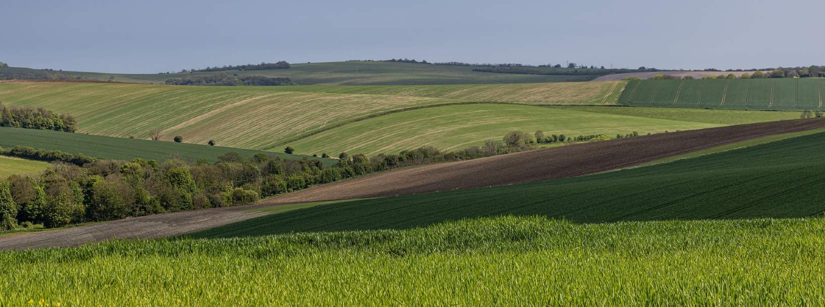 How will the Autumn Budget announcements affect farming businesses?