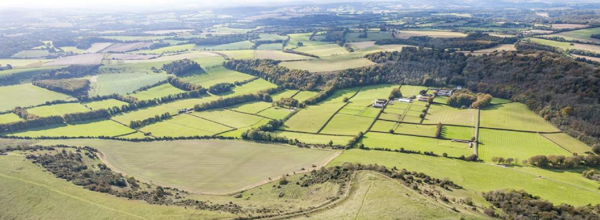 In Focus: North Wessex Downs