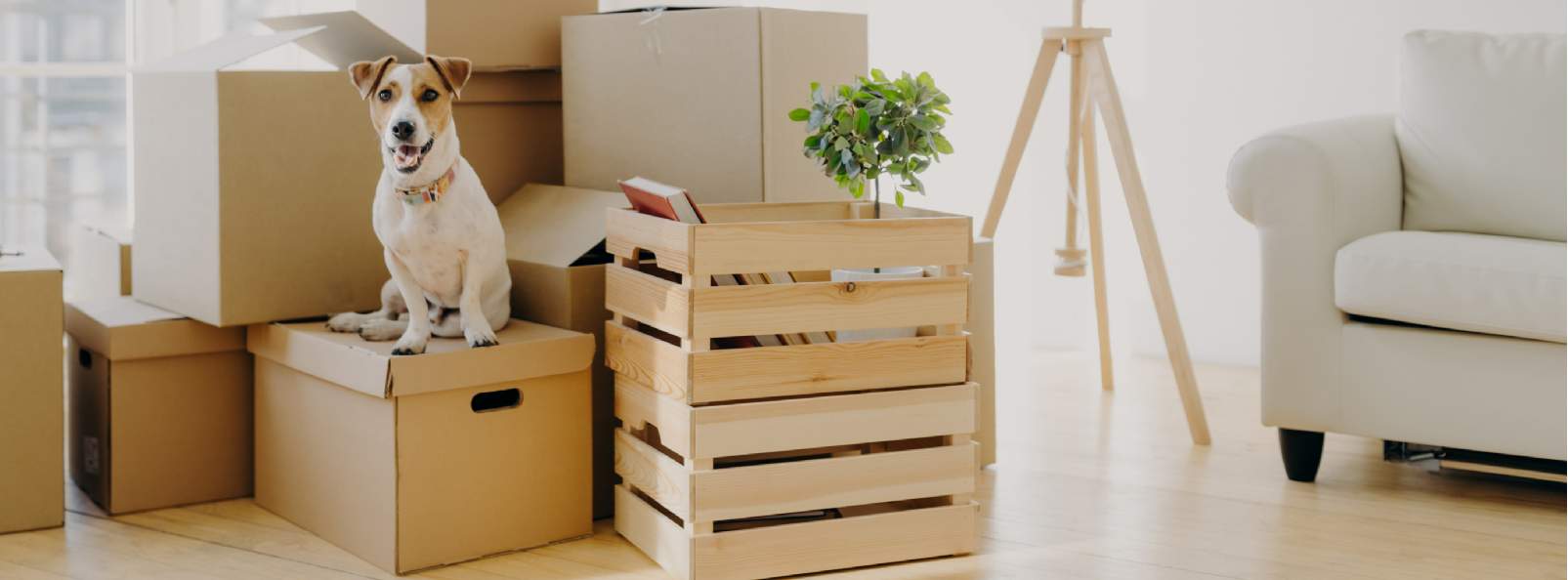 How and when to downsize for the perfect fit 