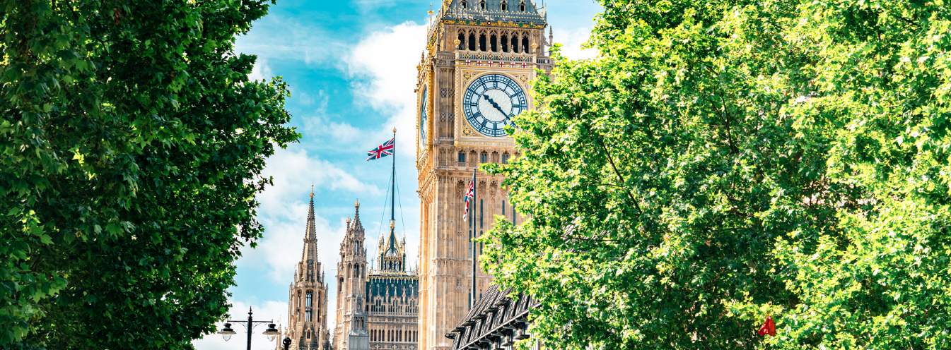 Royal London: Westminster In Focus