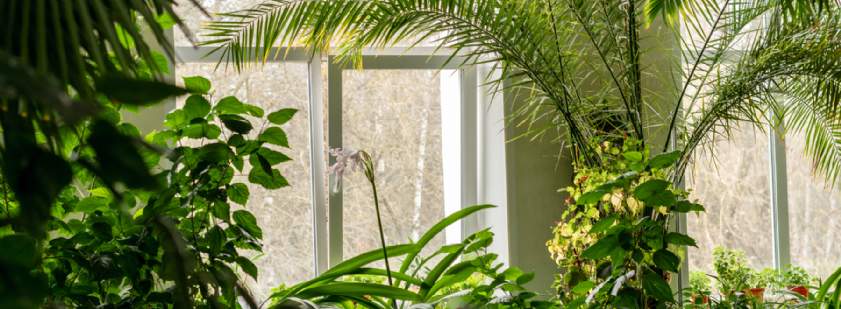 Biophilic design: connecting homes with nature