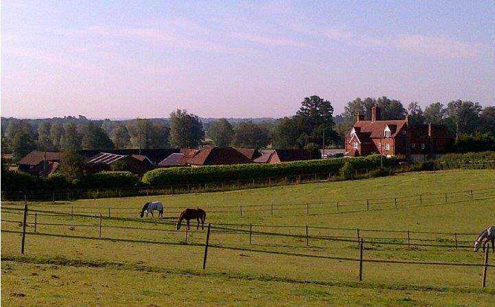 Paddocks, Littleton Manor, Reigate, Surrey