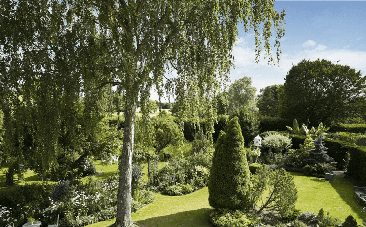 Longer End Cottage Guildford - View of Garden