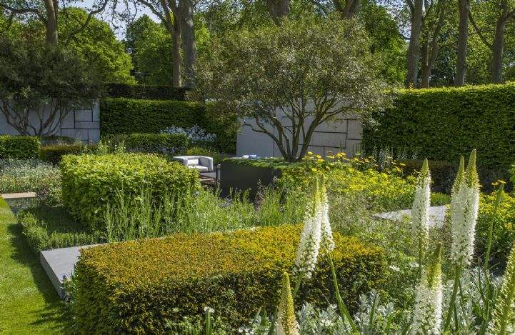 Marcus Barnett's 2015 Gold Medal Winning Garden