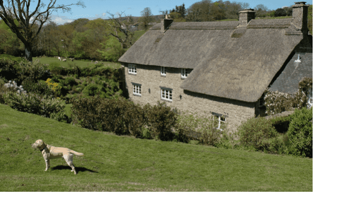 Devon Longhouse: Mill Farm, Dartmoor