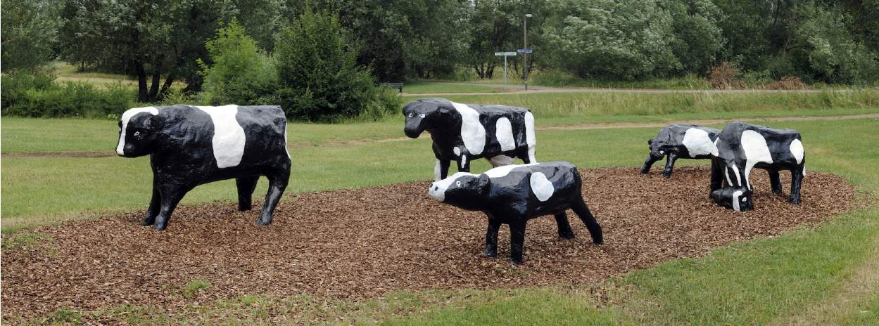 Milton Keynes concrete cows sculpture
