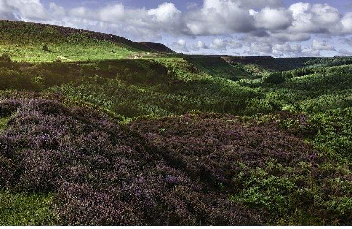 North York Moors