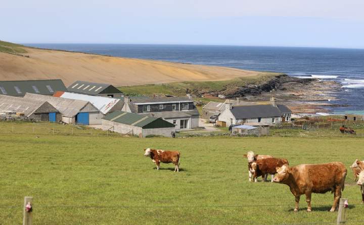 Farms Of Noup, Longhouse & Bisgeos, Westray, Orkney