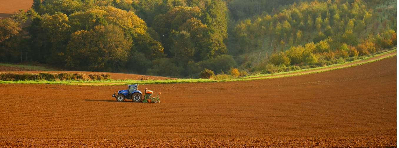 Ploughing in Dorset