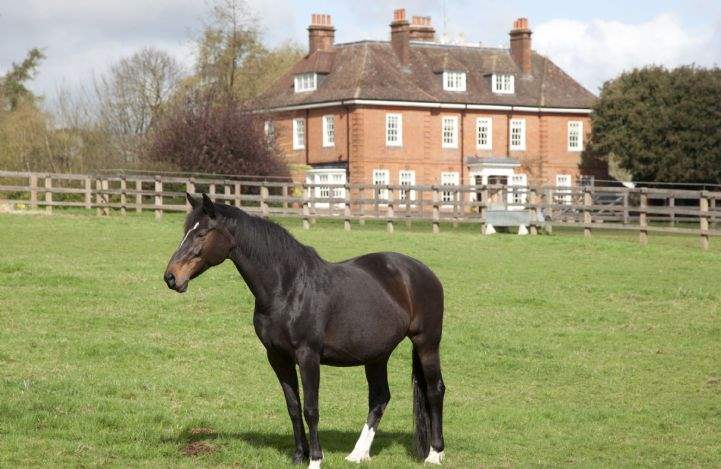 Savills UK  Buying an equestrian property - what you need to consider