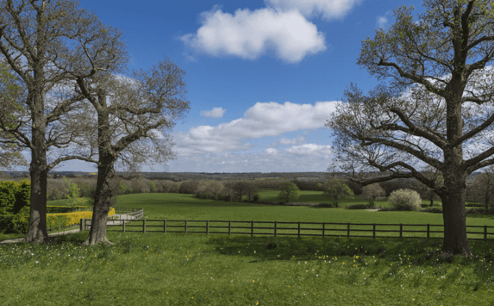 Grounds - Ruckman's Estate