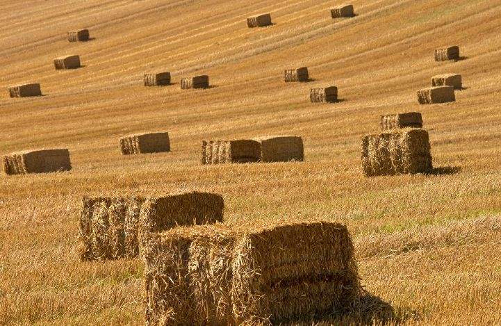 Reduce heating costs with straw biomass