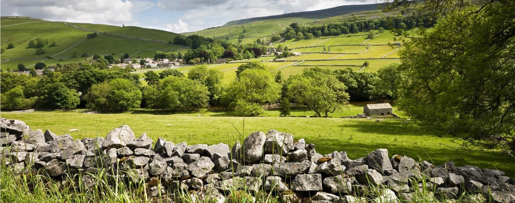 Tenanted farmland