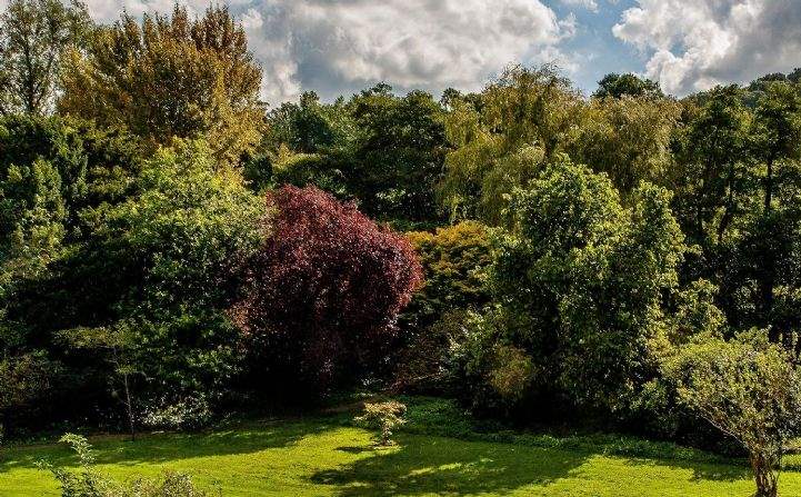 The Old Rectory, Wells, Somerset