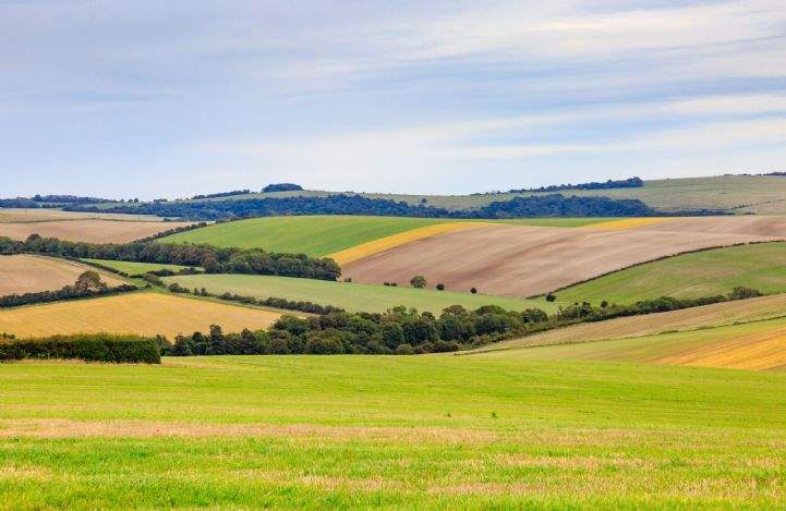 UK Farmland