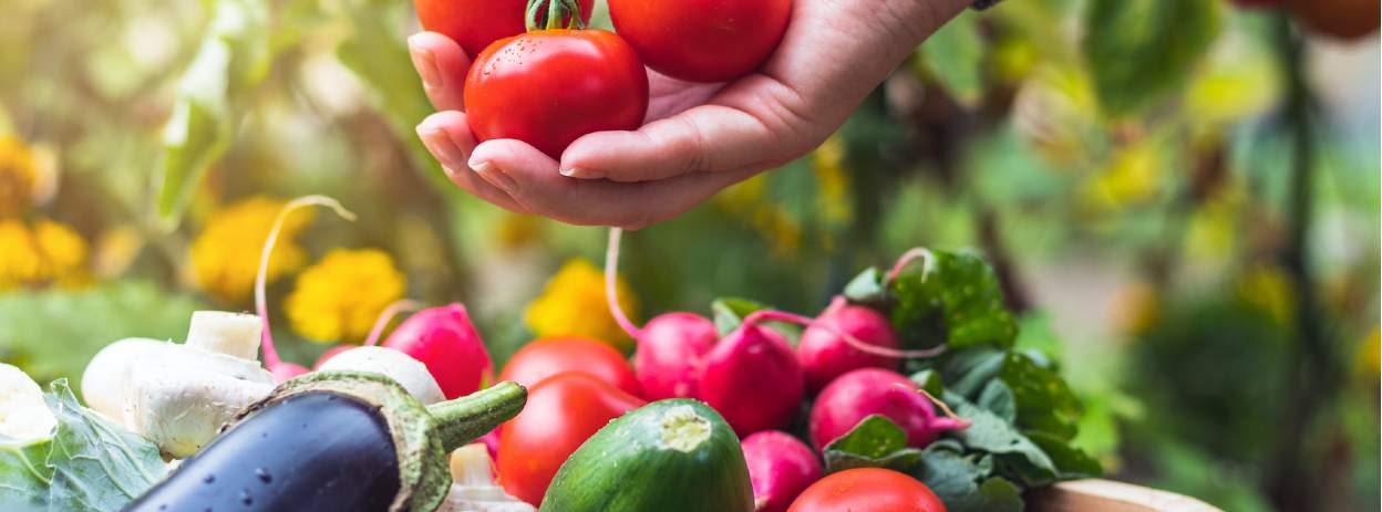 Savills | Tips for growing your own vegetables