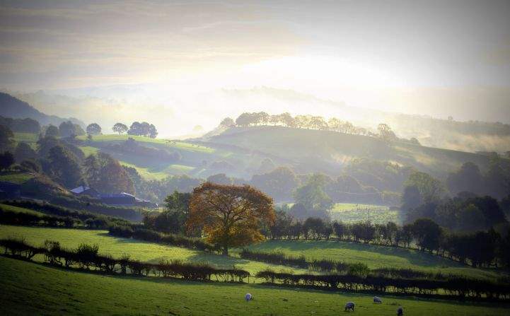 View, Cyfie Farm, Llanfyllin, Powys 