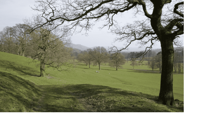 View from The Coach House Cheshire