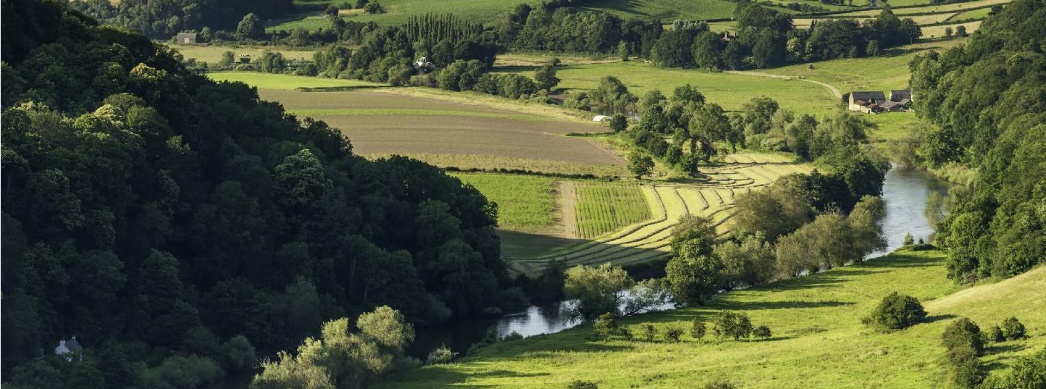 Welsh farmland