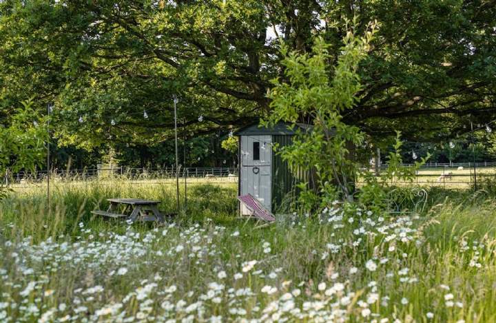 Creating a garden office