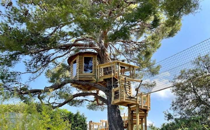 Design and innovation by Treehouse Life - Savills